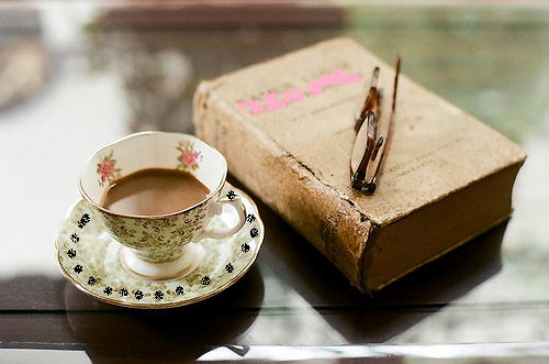 Türk Edebiyatından Seçme Romanlar