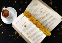 Edebiyat Ne Yapıyor Hayatımızda?