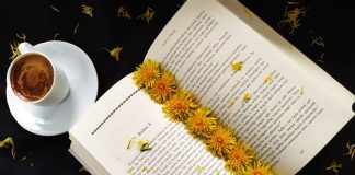 Edebiyat Ne Yapıyor Hayatımızda?